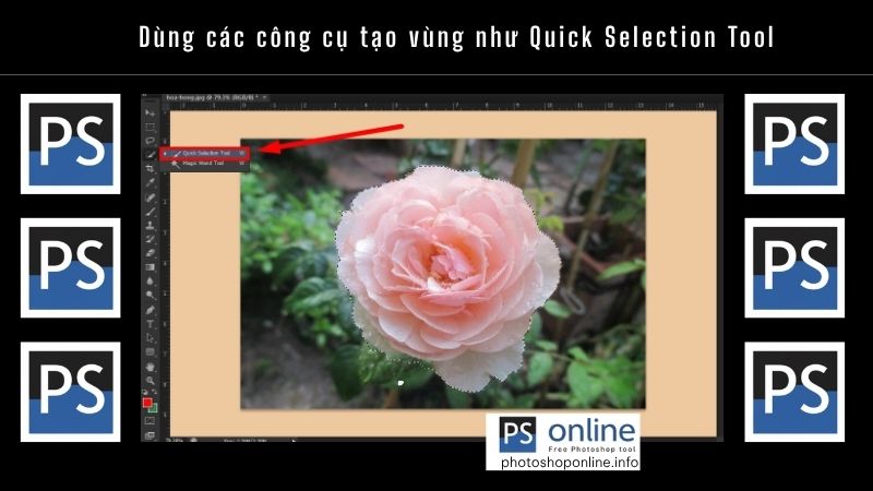 Dùng các công cụ tạo vùng như Quick Selection Tool