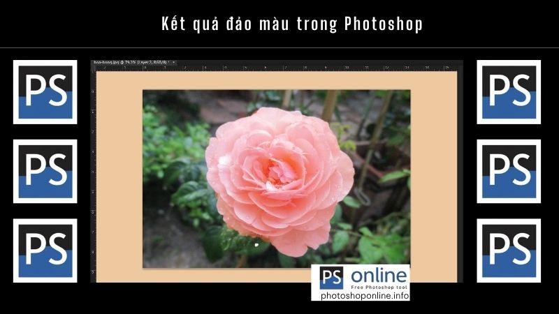 Kết quả đảo màu trong Photoshop