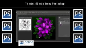 Đổ màu, tô màu trong Photoshop