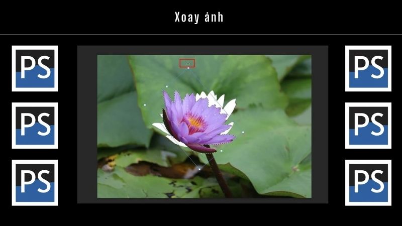 Cách xoay vật thể trong Photoshop đơn giản cho người mới bắt đầu 8 Xoay ảnh